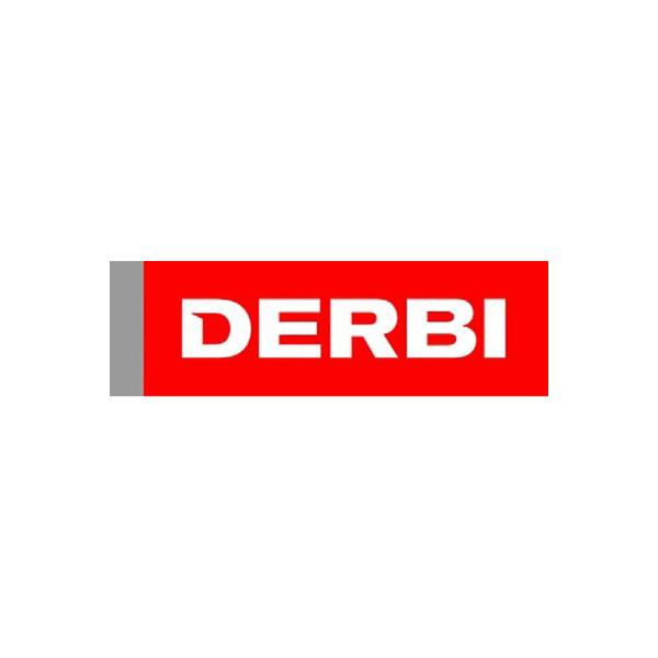 Modelli DERBI disponibili con motorini, alternatori e altri ricambi compatibili
