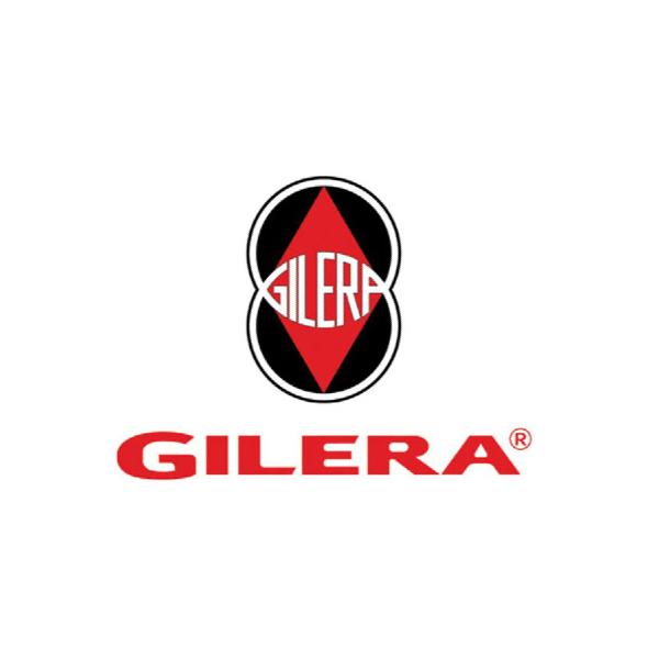 Modelli GILERA disponibili con motorini, alternatori e altri ricambi compatibili