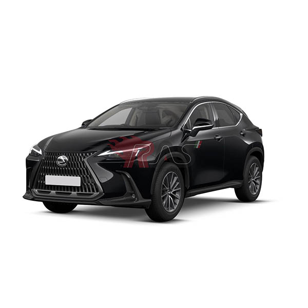 Tutti i ricambi per LEXUS NX (_Z1_)