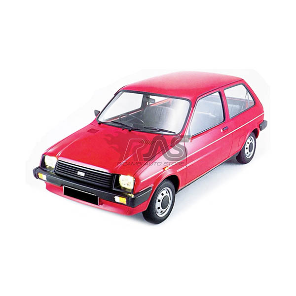 ROVER 100 / METRO Hatchback (XP)